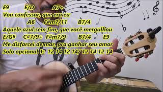 Vídeo de Flor Azul (Ver.2)