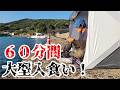 【過去最高】堤防で釣った魚を10分圏内の海に放つとたった60分の間に大型魚が炸裂し笑いが止まらん