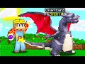 HO EVOLUTO CHARIZARD SHINY! - COBBLECRAFT EP7