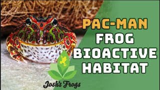 A Bioactive Build for Your PacMan Frog