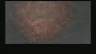 Metal Gear solid AMV