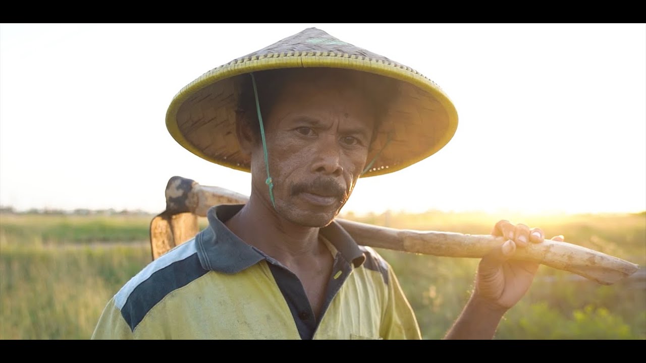 VIDEO PROPER EMAS PERTAGAS WJA