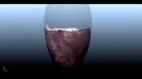 Realflow Bubbles Test