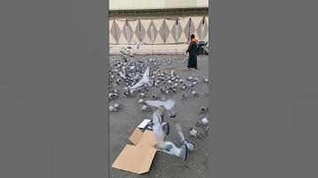 Hajr e Aswad In Makkah | Ziyarat E Makkah #ahlemadinah #makkah #madinah