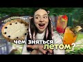 готовлю чизкейк 🍓// выполняю 100 планов на лето (часть 1)