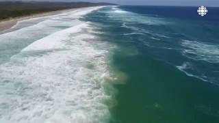 Des nageurs secourus en mer par un drone