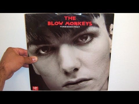 The Blow Monkeys – Forbidden Fruit – Vinyl (Indianapolis Pressing, LP