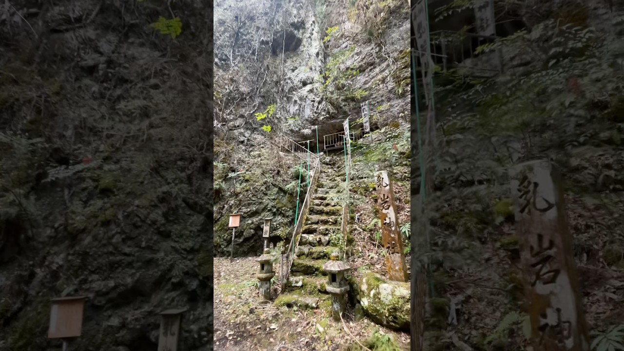 Chiiwa Shrine, hidden away in this narrow valley #japan #shrine #hiking_gifu #神社 #岐阜県