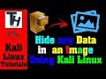 Kali Linux Tutorial: Hide Files in Images with Steganography 📷