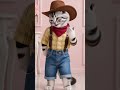 cat dance #cat #matercat #funny #catdance