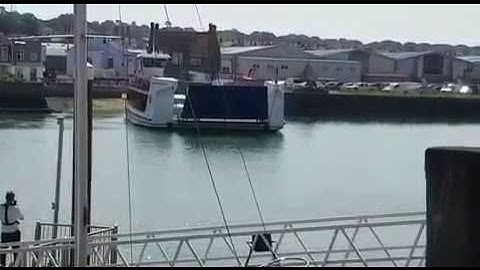 Dolphin spotted by Isle of Wight