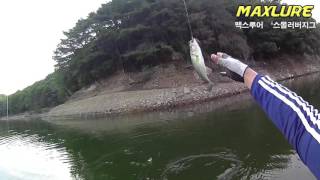 배스낚시 맥스루어 스몰러버지그