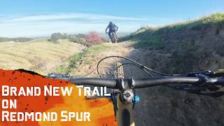 New Flow Trail on Redmond Spur