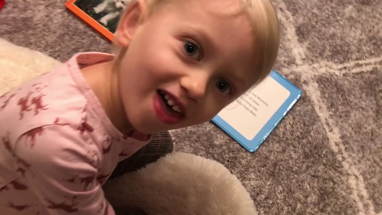 Reading books. Puppy explores and Baby Polar Bear. Читаем книжки на английском.