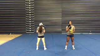 UA sideline - Go Go Go Zips Go xx xx