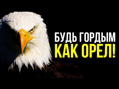 Я ГОРДЫЙ ОРЕЛ!  - Мотивационное видео 2022