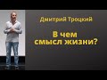 В чем смысл жизни?  Дмитрий Троцкий