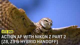 Approaching The Scene 266: Action AF with Nikon Z Part 2 (Z8, Z9 & Hybrid Handoff)