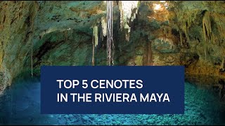 TOP 5 CENOTES in The Riviera Maya screenshot 2