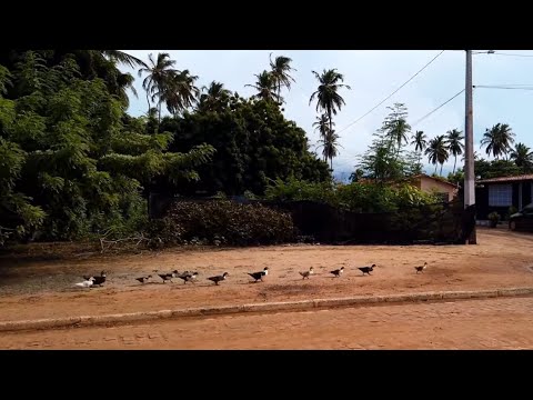 "São Miguel do Gostoso" (RN) to "Tourinhos" | [4K Ultra HD] Bike Ride