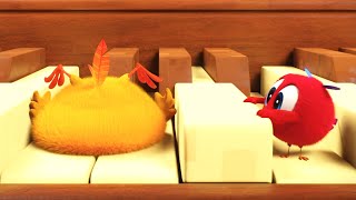 Learn Piano | Where's Chicky? | Cartoon Collection In English For Kids | New Episodes