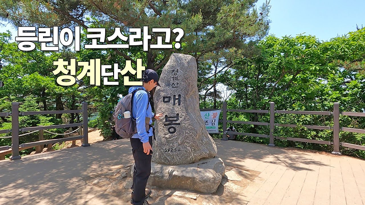 🚊초역세권 산행 맛집 😥청계산 매봉 등린이 힘들어요!! 옥녀봉 왕복이 적당해요~