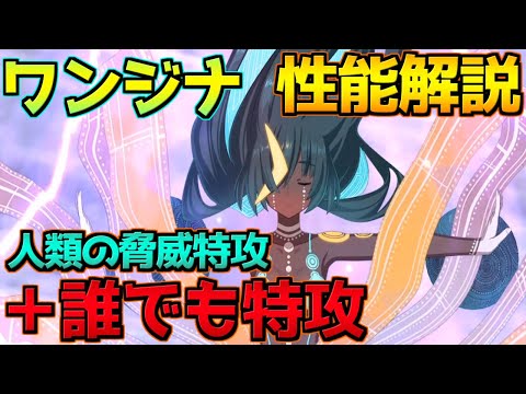 【FGO】誰でも特攻[精霊の怒り]特攻が強い ワンジナ 性能解説【ワンジナ・ワールドツアー】