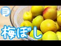 【母の味】父の大好物！梅ぼしの漬け方を教わりました。Umeboshi Japanese Pickled Plum