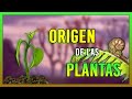 🍀 El Origen de las PLANTAS TERRESTRES 🌱🌱 | Cuando las PRIMERAS PLANTAS Conquistaron la TIERRA 🌍