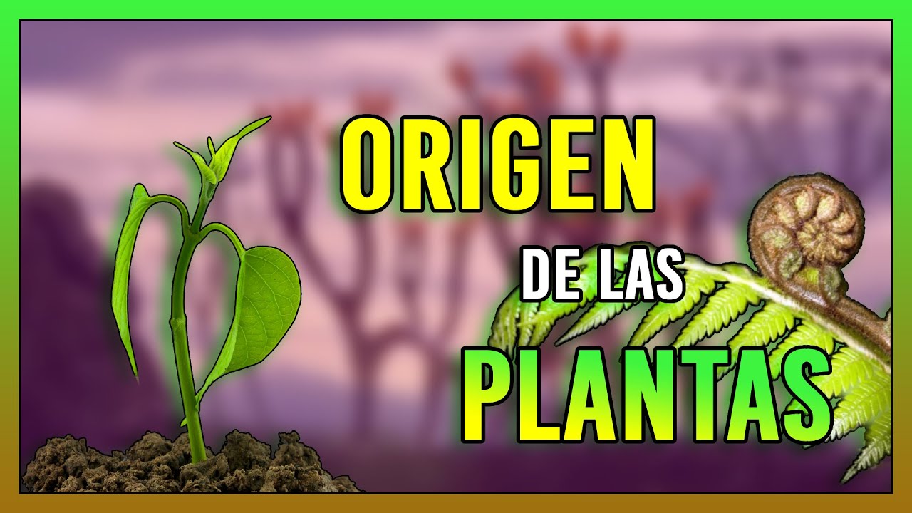🍀 El Origen de las PLANTAS TERRESTRES 🌱🌱 | Cuando las PRIMERAS PLANTAS