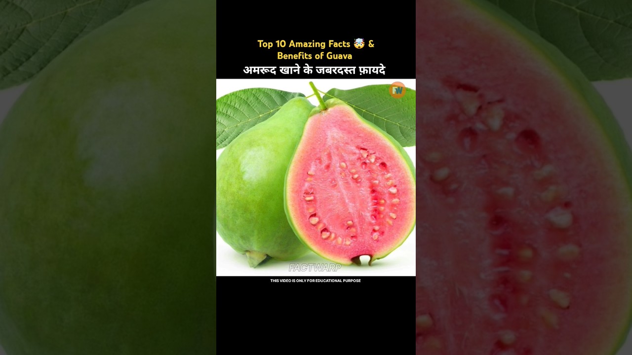 Top 10 Amazing Facts 🤯 & Benefits of Guava | Random Facts 