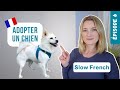 Adopter un chien  to adopt a dog  slow french  enfr subtitles  pisode 6