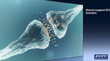 Brief tutorial about Cannabidiol (CBD) and the Endocannabinoid System