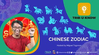Chinese Zodiac | Trib-U-Know