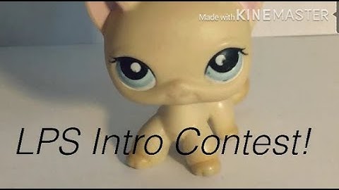 LPS Intro Contest! {STILL OPEN UNTIL FEB 2019}