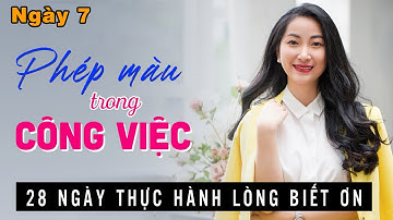 Ngày 7 - Phép Màu Trong Công Việc | 28 Ngày Thực Hành Lòng Biết Ơn