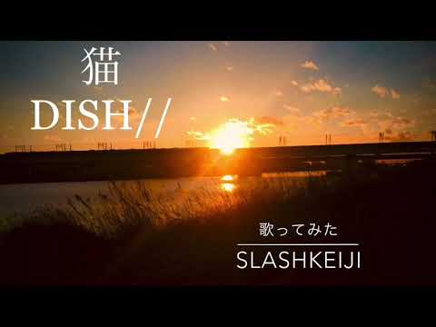#7 猫 / DISH//(北村匠海) 【歌ってみた】