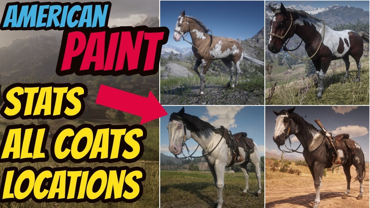 Vælg fløjte skrivestil Red Dead Redemption 2 American Paint LOCATION & ALL COATS & STATS GOOD HORSE  GUIDE - YouTube