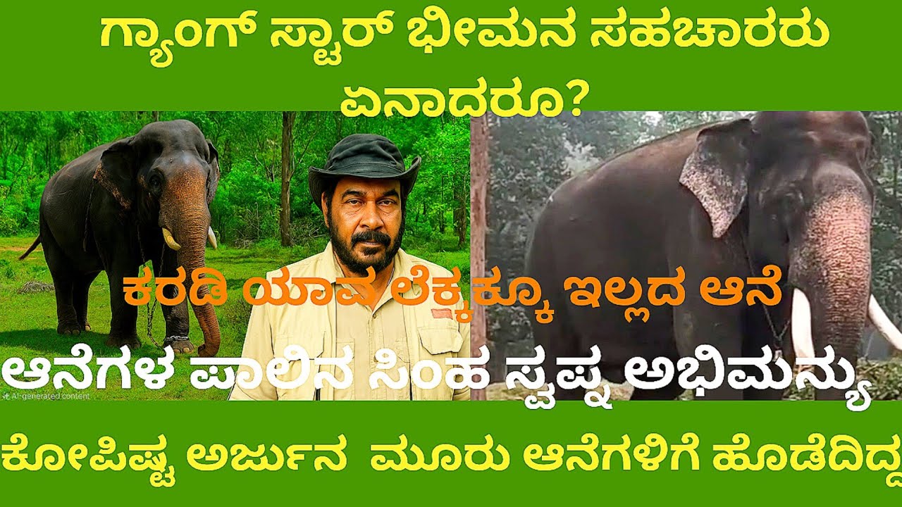 ಗ್ಯಾಂಗ್ ಸ್ಟಾರ್ ಭೀಮನ ಸಹಚಾರರು  ಏನಾದರೂ? ಆನೆಗಳ ಪಾಲಿನ ಸಿಂಹ ಸ್ವಪ್ನ ಅಭಿಮನ್ಯು. ಕೋಪಿಷ್ಟ ಅರ್ಜುನ ಮೂರು ಆನೆಗಳಿಗೆ 