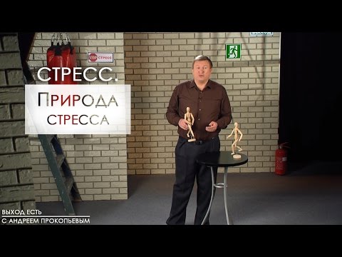 Video: Калыстар палитрасы: архетип, невроз, ашыкча стресс