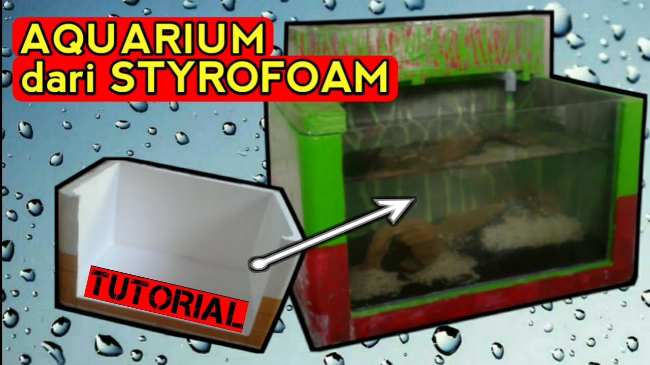Cara membuat aquarium low budget dari box styrofoam YouTube