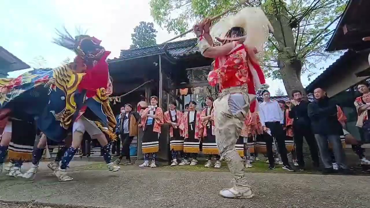 2026年 高岡市 蓮花寺の獅子舞/朝の宮にて - YouTube