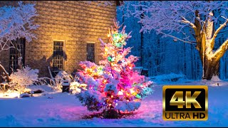 Beautiful Winter Christmas Tree in Snow 4K