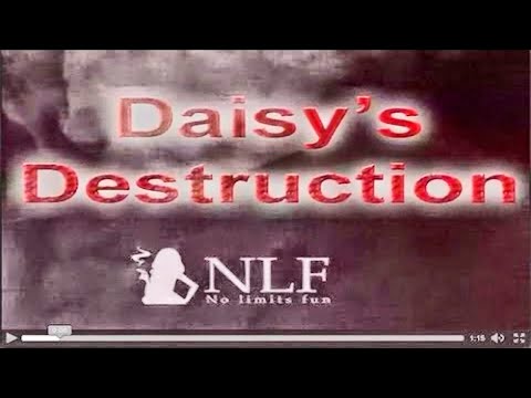 DAISY'S DESTRUCTION ES REAL Y NO DEBERÍAS VERLO JAMÁS