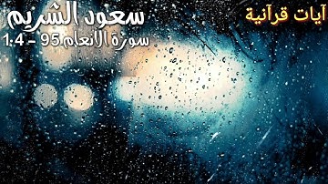 تلاوة خاشعة من سورة الأنعام بصوت الشيخ سعود شريم