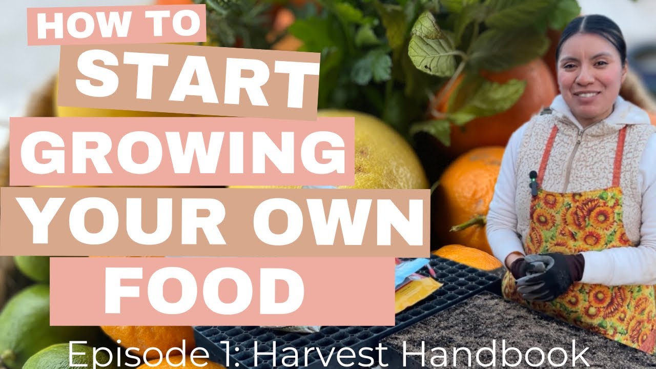 Episode 1. How Start to Growing your Own Food - YouTube