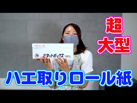 【ハエ対策】大型ハエ取りロール紙 ロール式ハエとり紙 ピタットBOX セットするだけ簡単！クロバエ ギンバエ コバエ 昔懐かしいハエ取り紙 家畜 鶏舎 畑のハエ対策に！！【Flypaper】