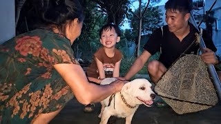 Download Lagu While fishing in the stream, I encountered a dog stuck in the woods MP3 Download Lagu While fishing in the stream, I encountered a dog stuck in the woods MP3