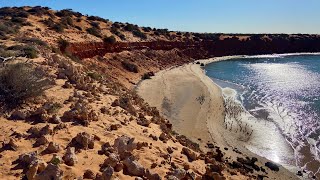 Shark Bay WA 2025