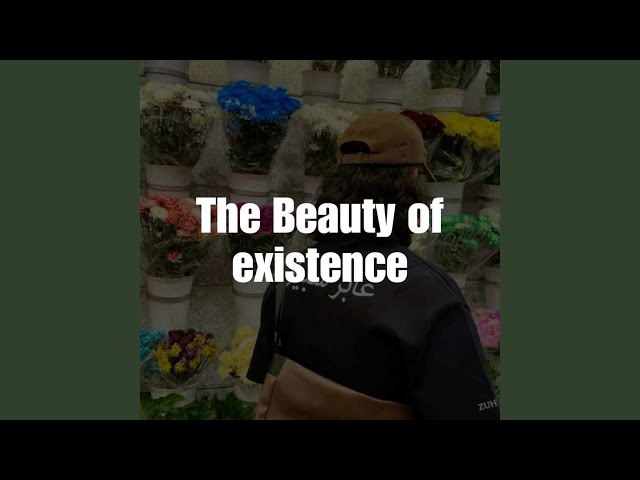 The Beauty of Existence